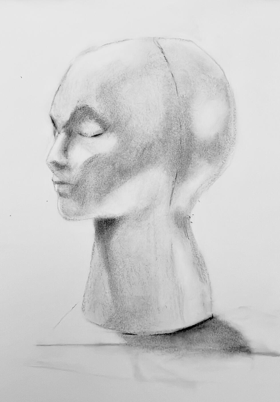 shading study