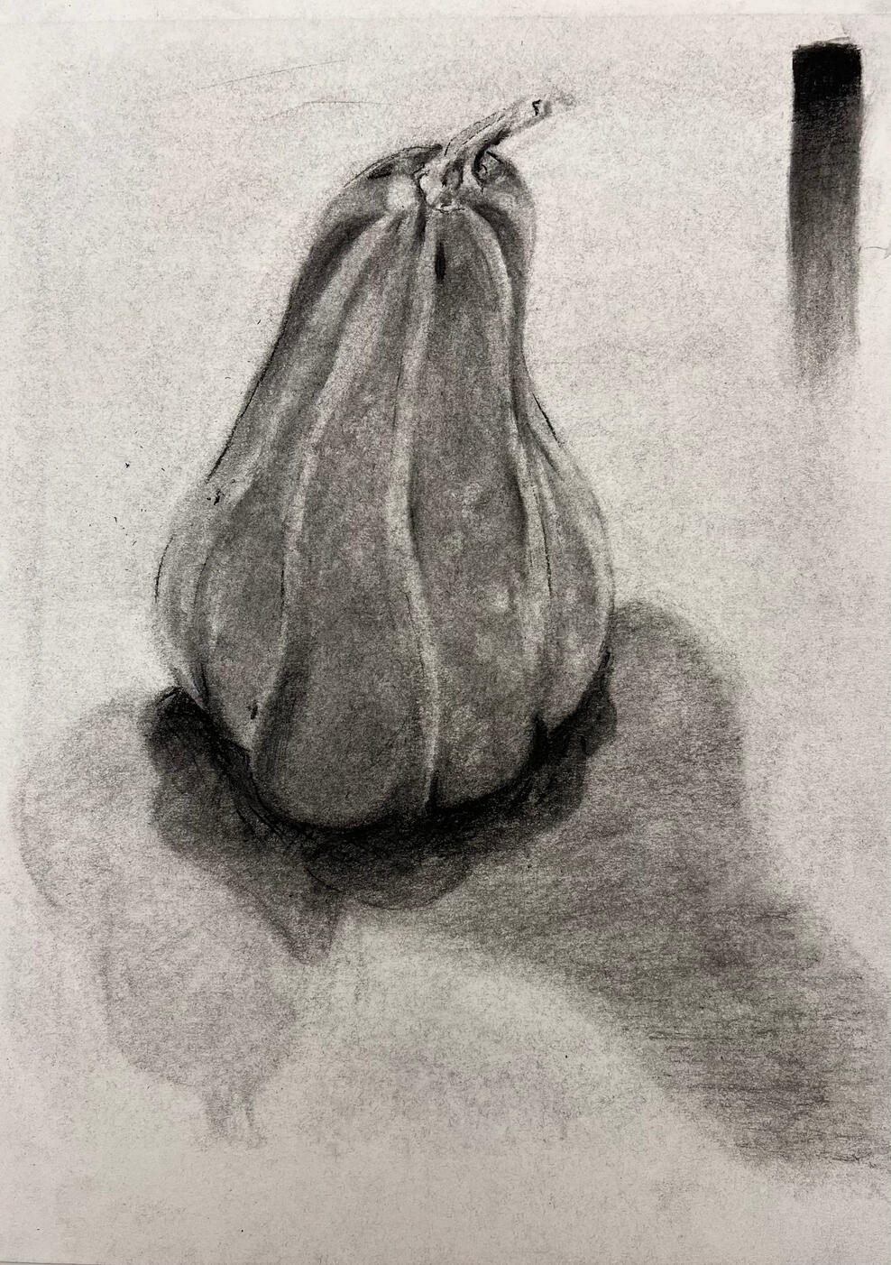 gourd - charcoal